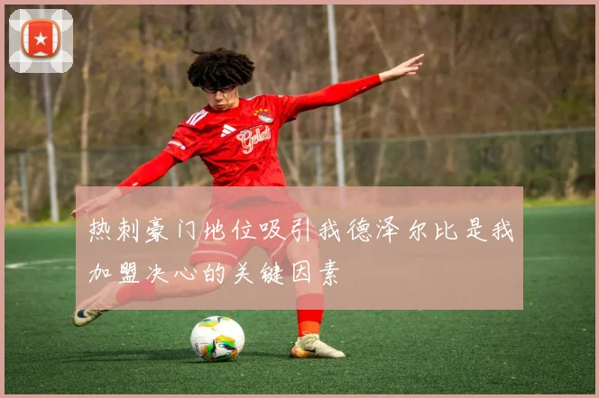 热刺豪门地位吸引我德泽尔比是我加盟决心的关键因素