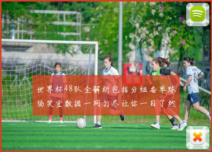 世界杯48队全解析包括分组名单球场奖金数据一网打尽让你一目了然