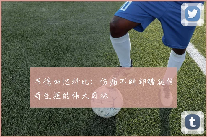 韦德回忆科比：伤痛不断却铸就传奇生涯的伟大目标